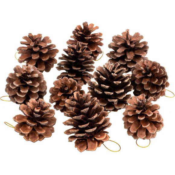 Whaline 25 Pcs Christmas Natural Pine Cones, Rustic Pinecones Bulk Ornaments with String for Crafting for Home Accent Decor, Fall Thanksgiving Tree Decoration (1.6-2.4 Inches)
