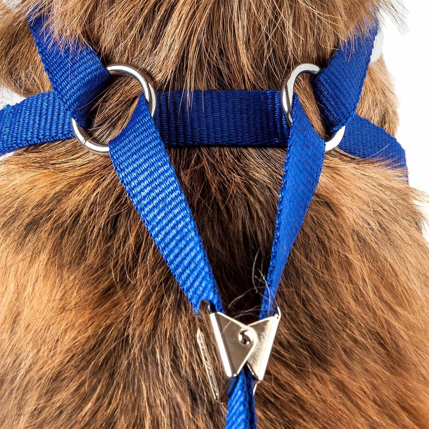 Pet Life  Luxe 'Spawling' 2-In-1 Mesh Reversed Adjustable Dog Harness-Leash W/ Fashion Bowtie