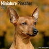 Miniature Pinscher Calendar 2018 - Dog Breed Calendar - Wall Calendar 2017-2018
