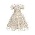 thumbnail image 4 of Girls Tulle Princess Dresses Trendy Embroidery Flower Lace Puff Sleeve Crew Neck Gown for Pageant Wedding Birthday Party Graduation Dance Prom Beige 10-11 Years, 4 of 6