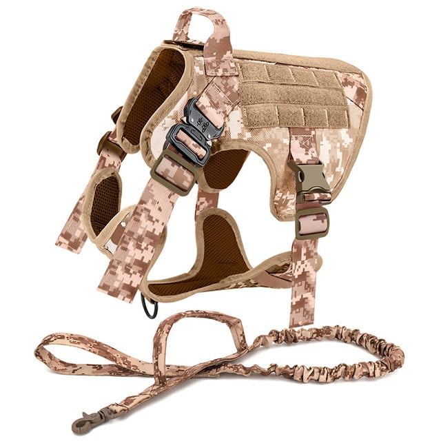 Malinois tactical harness 2025