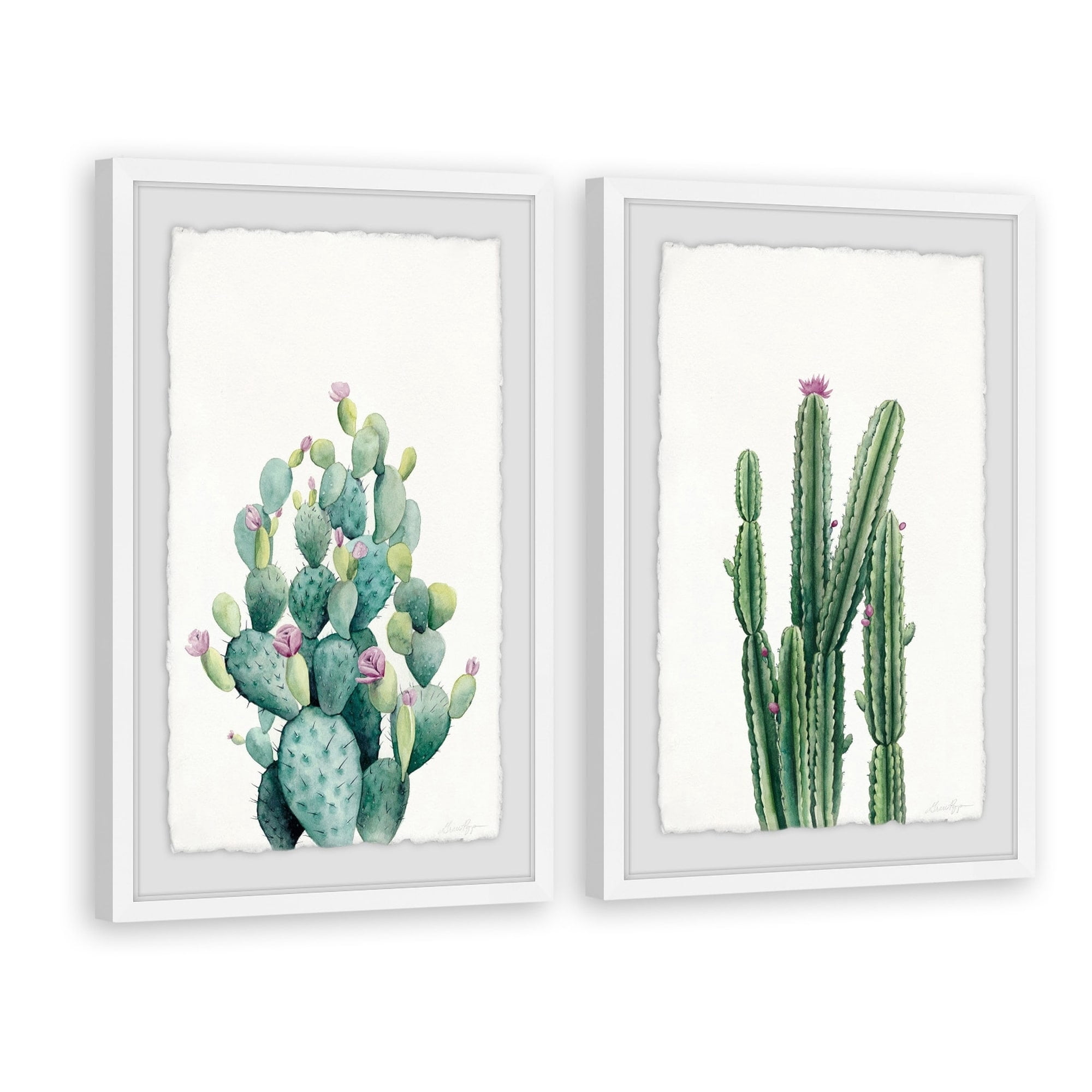 Cactus Bloom V Diptych