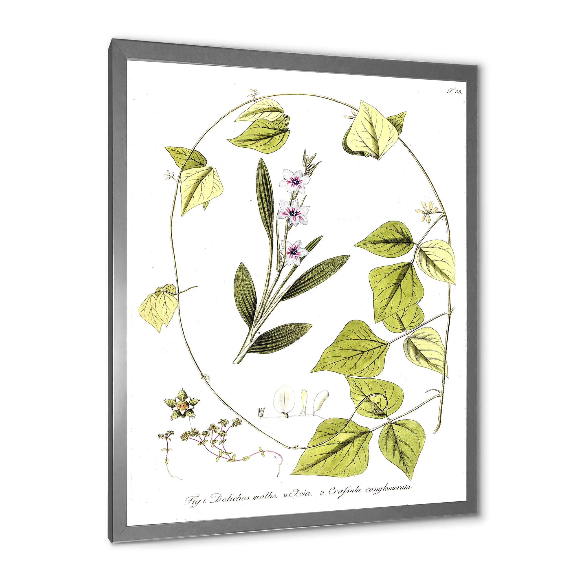 Designart 'Ancient Botanicals XXI' Traditional Framed Art Print