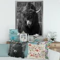 thumbnail image 3 of Designart 'Portrait Of Monochrome Wild Bull In Winter Forest II' Farmhouse Framed Art Print, 3 of 4