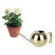 thumbnail image 5 of Regadera de acero inoxidable para interiores y exteriores para plantas caseras lata de agua para suculentas flores de jardín BONSÁI (35 onzas/1000ml) Dorado claro Macarena Regadera, 5 of 8