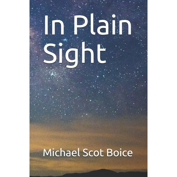 In Plain Sight (Paperback)