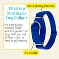 thumbnail image 4 of Country Brook Petz® Martingale Dog Collar - Training Collar with No Buckle (Royal Blue, Large), 4 of 5