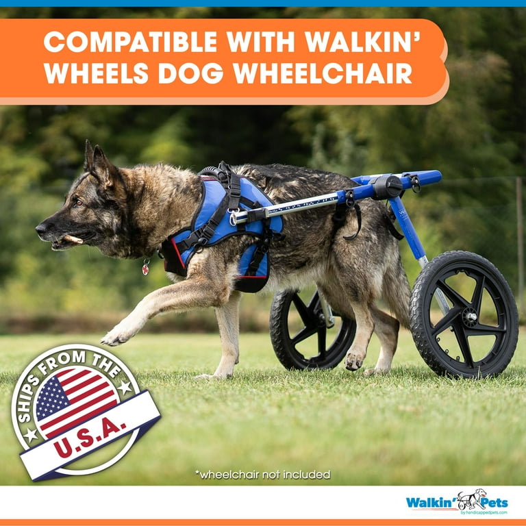 Walkin wheels harness cheap