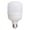 B1, variant on Giaone Delicate Designed Bulb Hideaways Safe Holder for Camouflaging Belongings