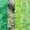 Shades of Green, variant on JubileeYarn Feather Whimsy Eyelash Yarn - 50g/Skein Fine Polyester Faux Fur - Shades of Red - 4 Skeins