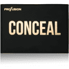 Trendsetter Conceal Palette