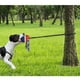 thumbnail image 4 of Methold Juguete universal para mascotas, juguete con sonido para la dentición, juguetes portátiles para practicar, entretenimiento, juegos deportivos Suministros para perros Azul Methold PT004352-02B, 4 of 6
