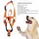 thumbnail image 5 of headcollar dog muzzle adjustable prevent biting barking breathable nylon dog mouth guard for walking training orange m, 5 of 5