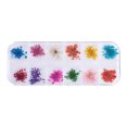 thumbnail image 1 of 12 Colores Arte de Uñas Flor Seca Real Accesorios de Uñas 3D Decoración de Uñas - Flor de gypsophila, 1 of 9