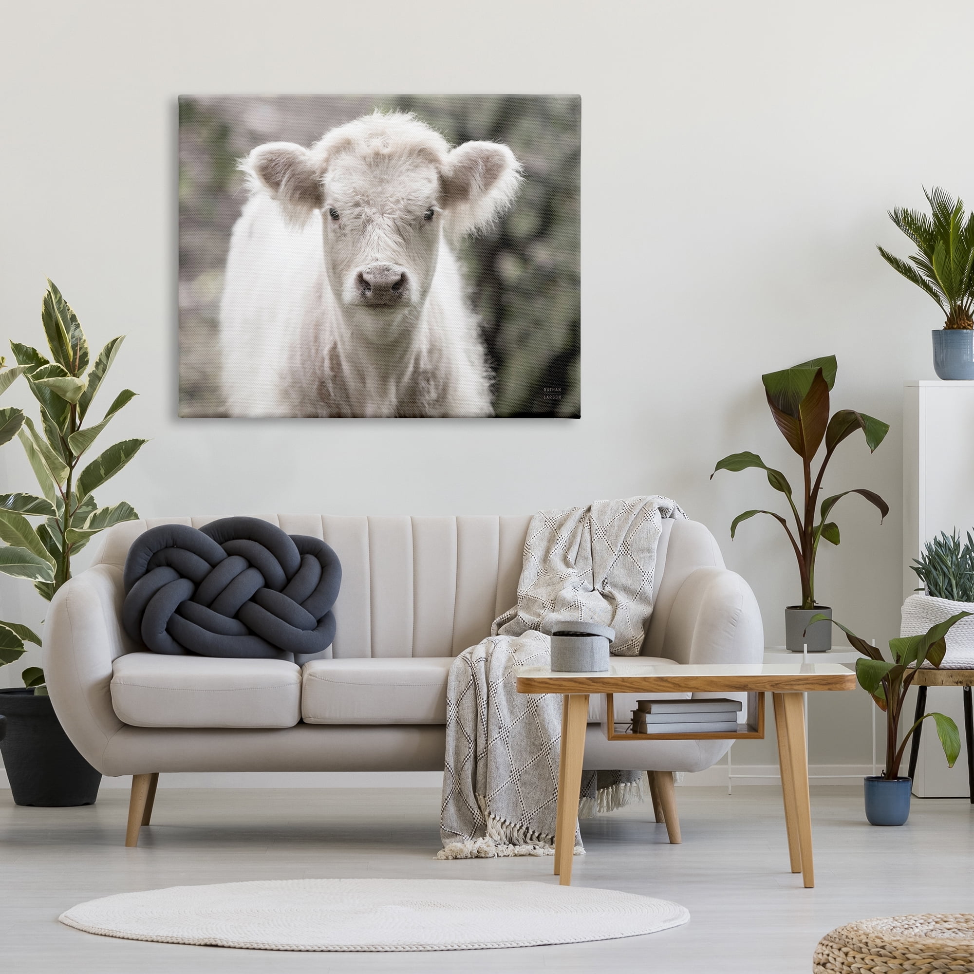 Stupell Industries White Cow Calf Portrait Animals & Insects Photography Gallery Wrapped Canvas Print Wall Art, 48 x 36