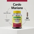 thumbnail image 3 of Cardo Mariano Spring Valley 450mg 30 capsulas, 3 of 4