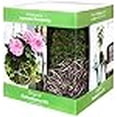 thumbnail image 3 of Super Moss (90430) 6" Diameter Kokedama Kit, The Original, 3 of 4