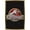 Gold Framed Version, variant on Jurassic Park - Logo Wall Poster, 14.725" x 22.375"