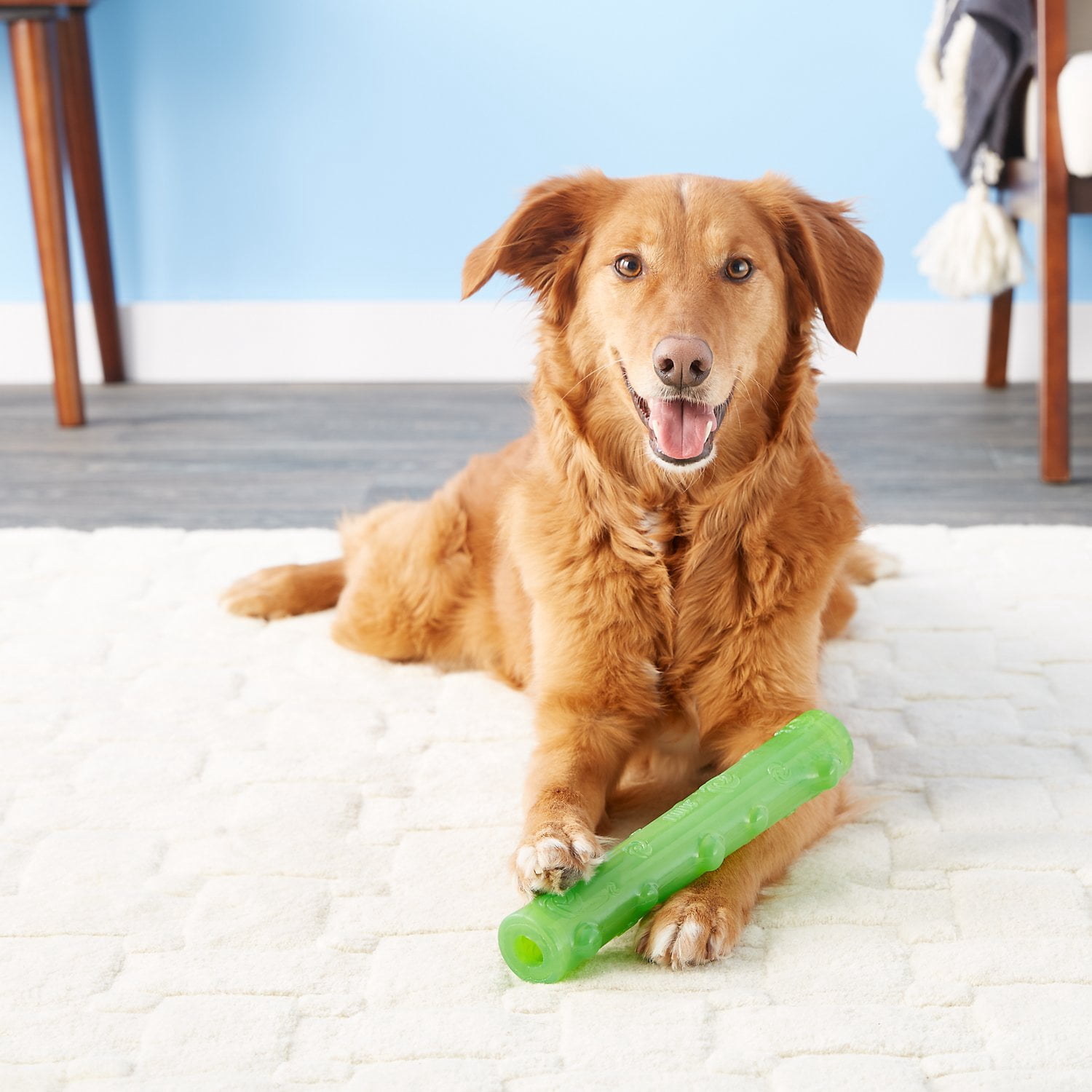 kong squeezz stick dog toy