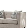 thumbnail image 3 of ACME Cyndi Loveseat with 2 Pillows in Tan Velvet, 3 of 8