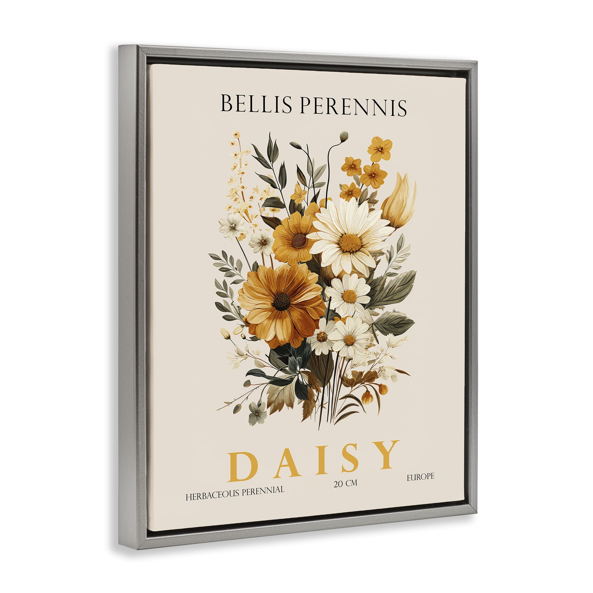 Stupell Industries Nature Daisy Bundle Gray Framed Floater Canvas Wall Art, design by Christopher Giampietro