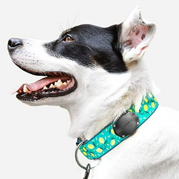 TagVault Pet: The Original AirTag Waterproof Dog Collar Mount, Ultra-Durable, Fits All Width Collars | Elevation Lab (Single)