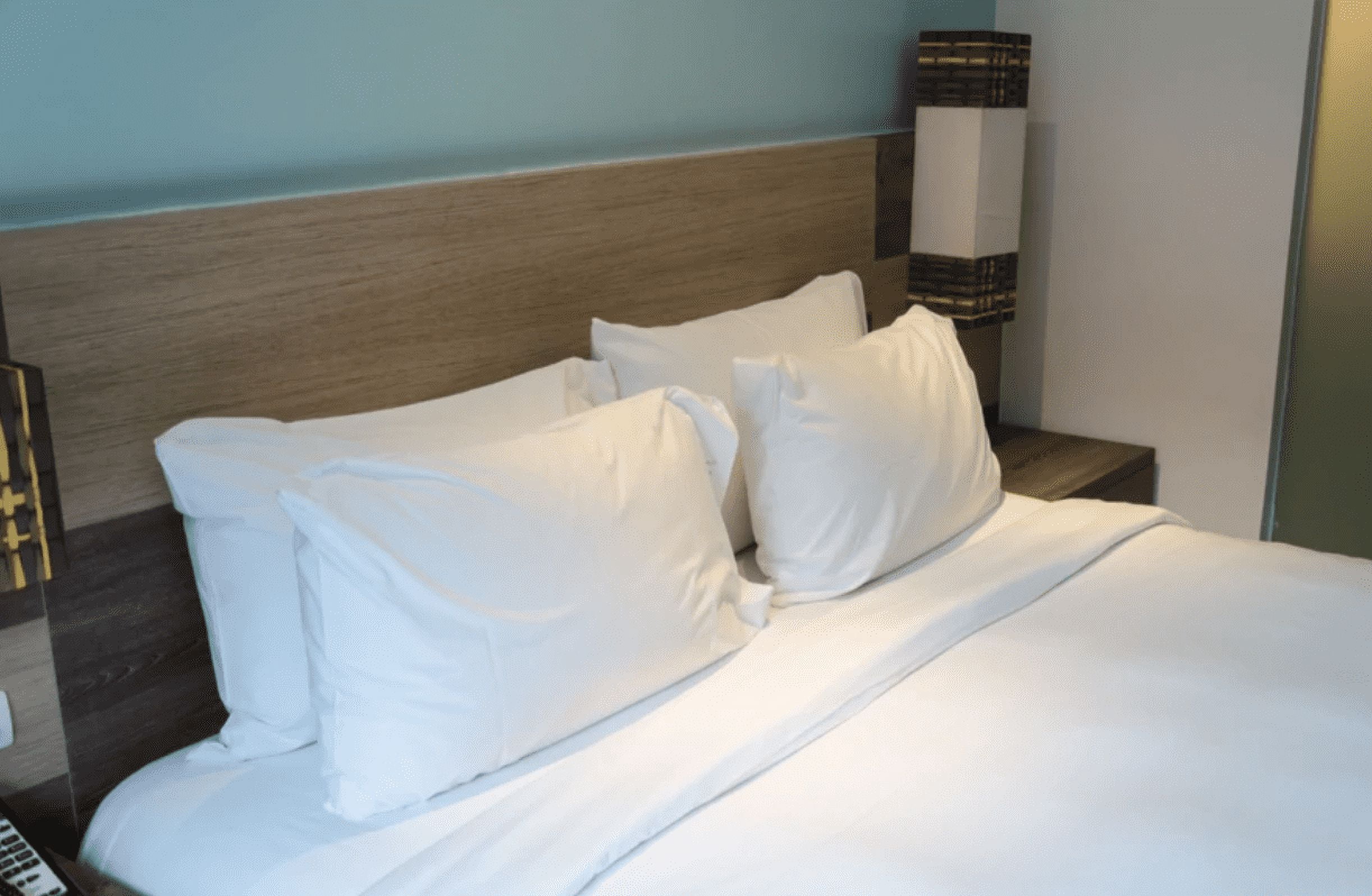 Pillowtex ® 95% White Duck Feathers 5% White Duck Down King Size Pillow (2 Pillow Set)