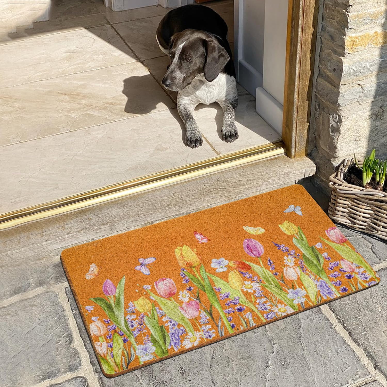 Tulip Floral Butterfly Coir Door Mat for Front Door, Spring Sumeer Flowers Outdoor Welcome Mats for Entrance,Garden,RV,Patio,Home Porch Decor Doormat 30x17 Inch