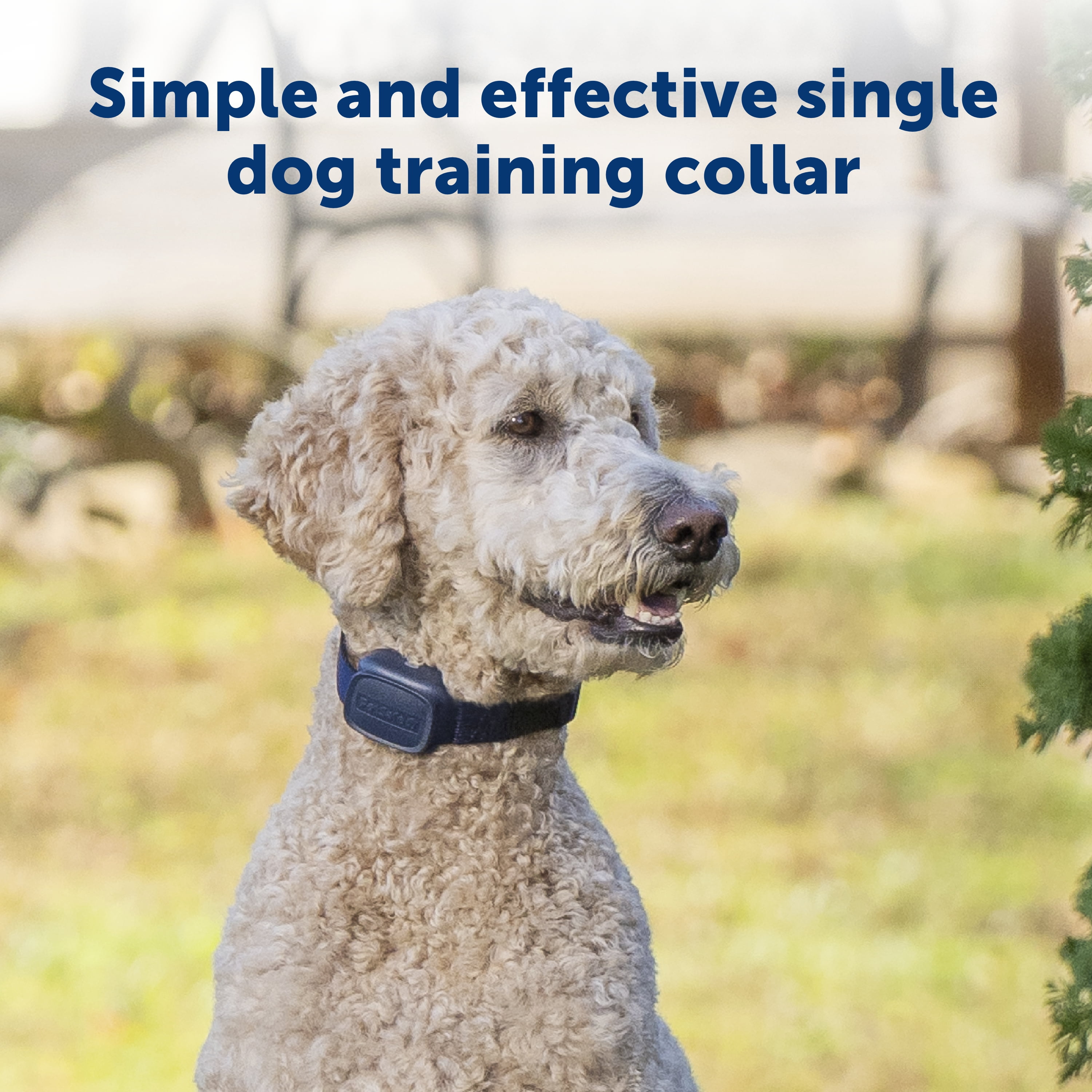 PetSafe Basic Dog Trainer with Remote – 300 ft Range – Tone, Vibration and Eight Levels of Static