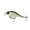 Chartreuse Black Pearl, variant on 6th Sense – Crush Series Squarebill Crankbait Bass Fishing Lure, Shallow Diving Hard Bait