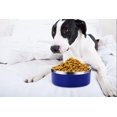 thumbnail image 3 of Small Medium Large Big Dog Bowls.Stainless Steel Dog Bowl.Non-Slip Metal Pet Puppy Dog Feeder Food Bowl.No Spill Water Bowl for Dogs.Dog Dishes for Small Medium Large Sized Dogs., 3 of 5