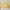 Yellow, variant on Four Seasons Thickened Velvet Pillowcase Velvet Pillowcases Queen Size,1 Pack Soft Color Pillow Shams Covers with Zippers Closure, Luxury Cozy Decorative Pillow Cases, No Filling,18.9 ×29.1in