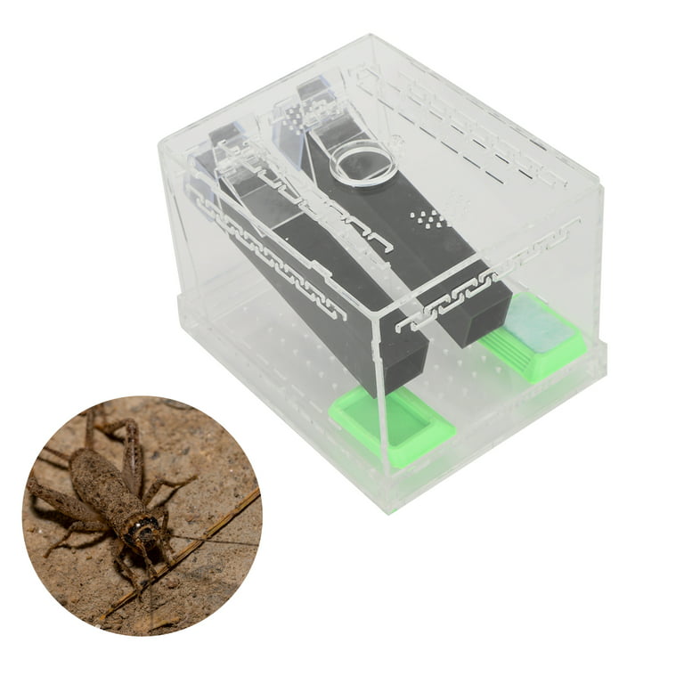 Fyydes Acrylic Feeding Cricket Keeper Pen with Tubes Cockroach Care Kit  Reptile Tank Box,Feeding Cricket Keeper Pen,Cricket Keeper with Tubes 