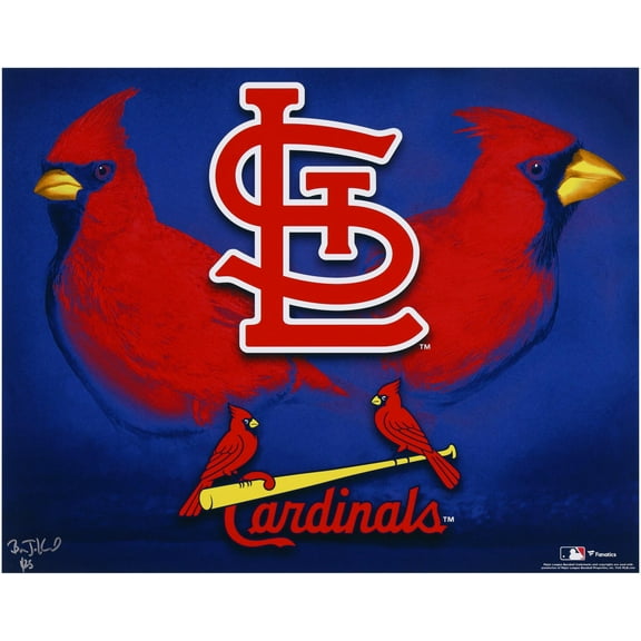 St. Louis Cardinals 16" x 20" Photo Print - Art and Signed by Brian Konnick - Limited Edition of 25 - Fanatics Authentic Certified