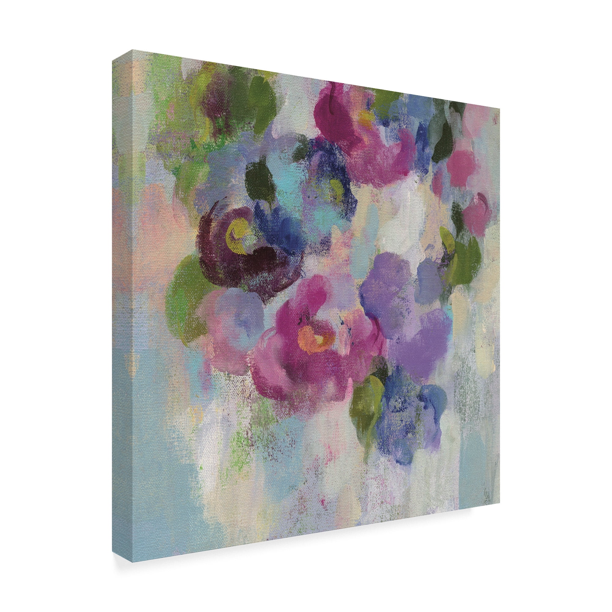 Trademark Fine Art 'Pink and Blue II' Canvas Art by Silvia Vassileva