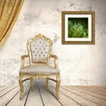 thumbnail image 3 of Maier, Norbert 15x15 Gold Ornate Wood Framed with Double Matting Museum Art Print Titled - Morning Perls, 3 of 4