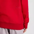 thumbnail image 6 of Champion Adult Sizing Iconic Embroidered Hoodie - Red, 6 of 6