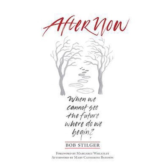 Pre-Owned Afternow: When We See the Future Where Do We Begin? (Paperback) 1545609748 9781545609743