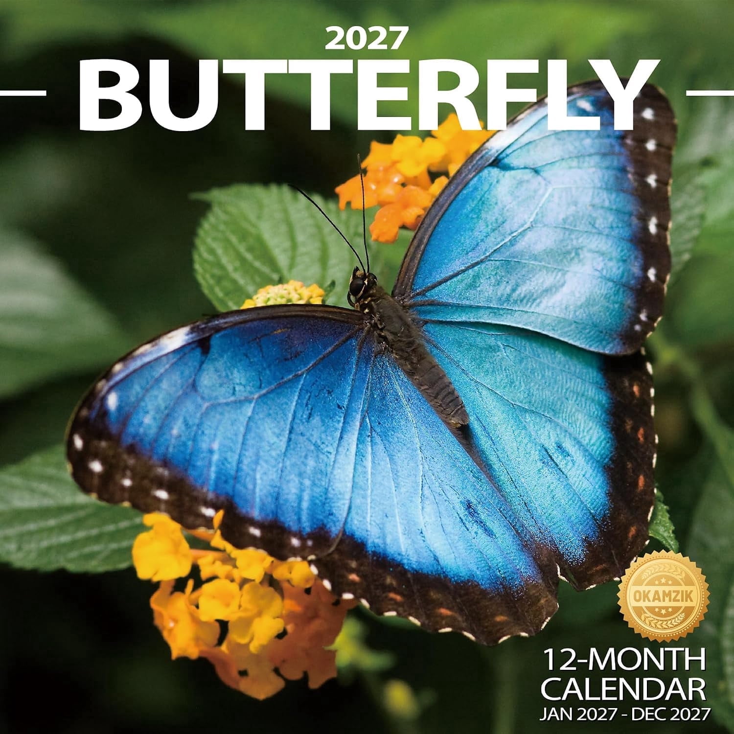 2027 Wall Calendar Butterfly Hangable Monthly Planner Calendar for Organizing & Planning Academic Schedule