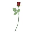 thumbnail image 2 of Way to Celebrate Single Red Forever Rose, 2 of 5