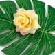 thumbnail image 4 of Farfi 10 Uds. Cabeza de flor de seda Rosa Artificial Diy boda Navidad corona decoración artesanal, 4 of 5