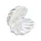 thumbnail image 5 of Bandeja para joyas, almacenamiento de joyas, forma de concha, anillos, soporte para platos, joyero para mesa Blanco, 5 of 9