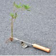 thumbnail image 4 of Hand Weeder Tool - Lightweight and Easy to Use Garden Weed Puller, 4 of 5