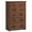 Walnut, variant on Costway 5 Drawer Chest Storage Dresser Tall Cabinet Organizer Bedroom Hallway Walnut