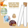 thumbnail image 4 of 100PCS Glass Test Tubes with Cork Clear Stoppers Round Bottom Lab Test Alcohol Tampons Tubes Container(15X100mm/13Ml), 4 of 5