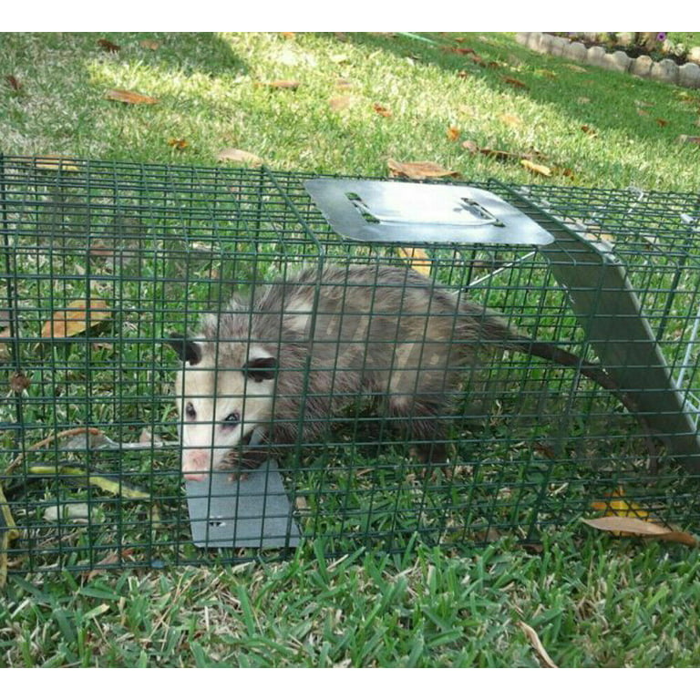 Squirrel Trap Heavy Duty Metal Humane Live Vermin Pest Animal Cage Catcher  Large