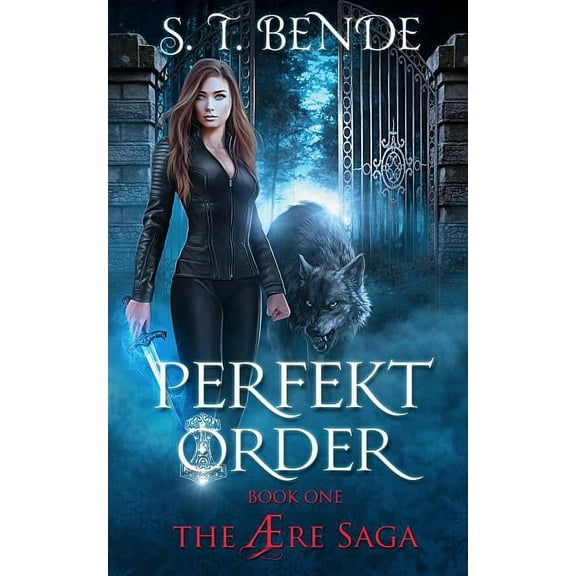 Ære Saga Perfekt Order, Book 1, (Paperback)