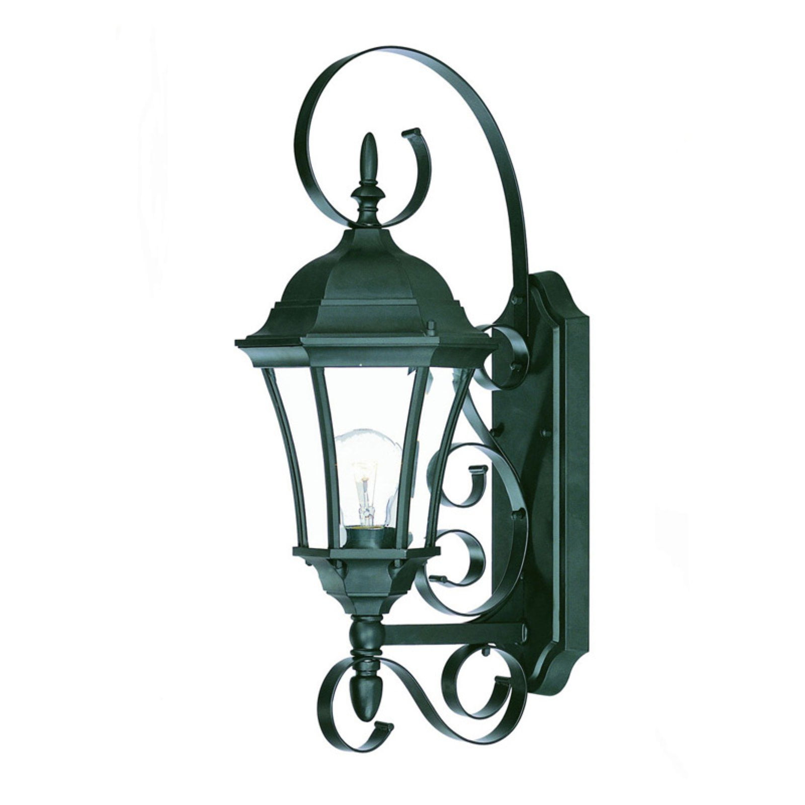 Acclaim Lighting New Orleans 1 Light Outdoor Wall Mount Light Fixture