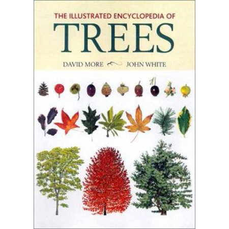 Pre-Owned The Illustrated Encyclopedia of Trees (Hardcover) 0881925209 9780881925203