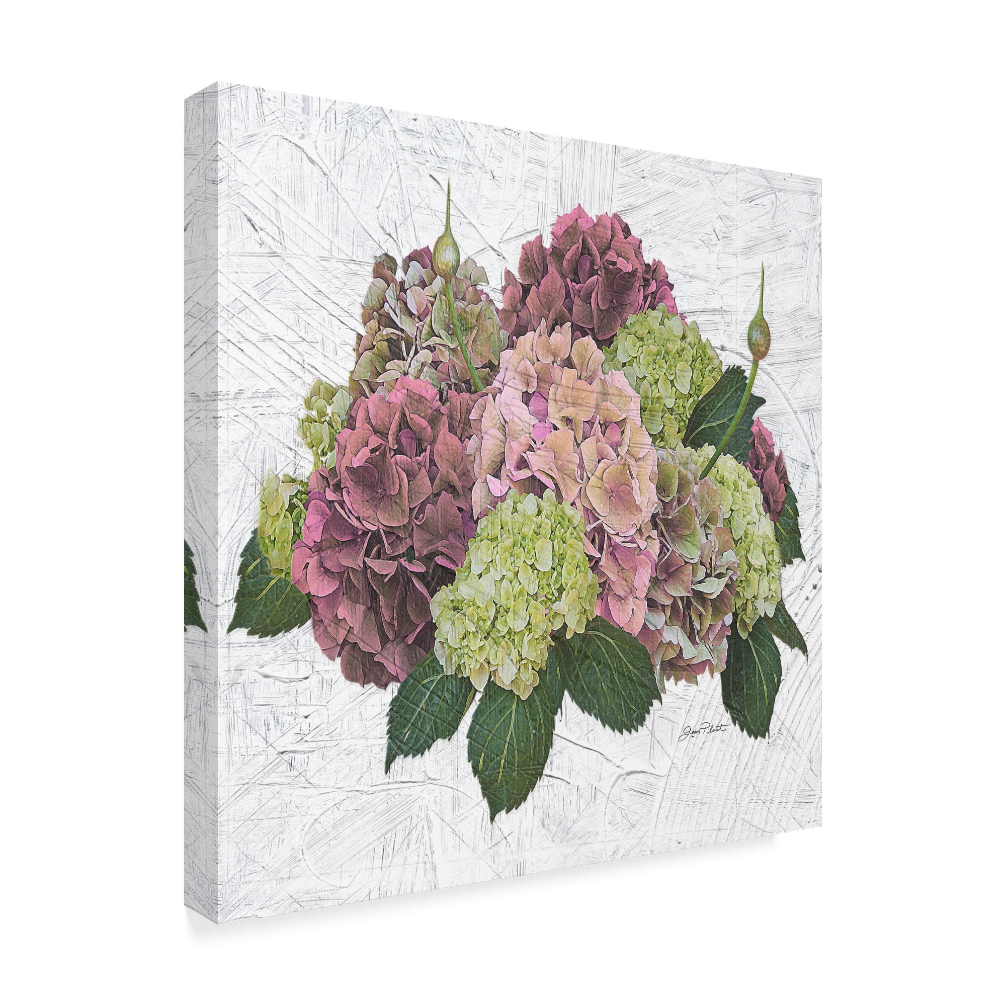 Trademark Fine Art 'Hydrangea Vignette Pink' Canvas Art by Jean Plout